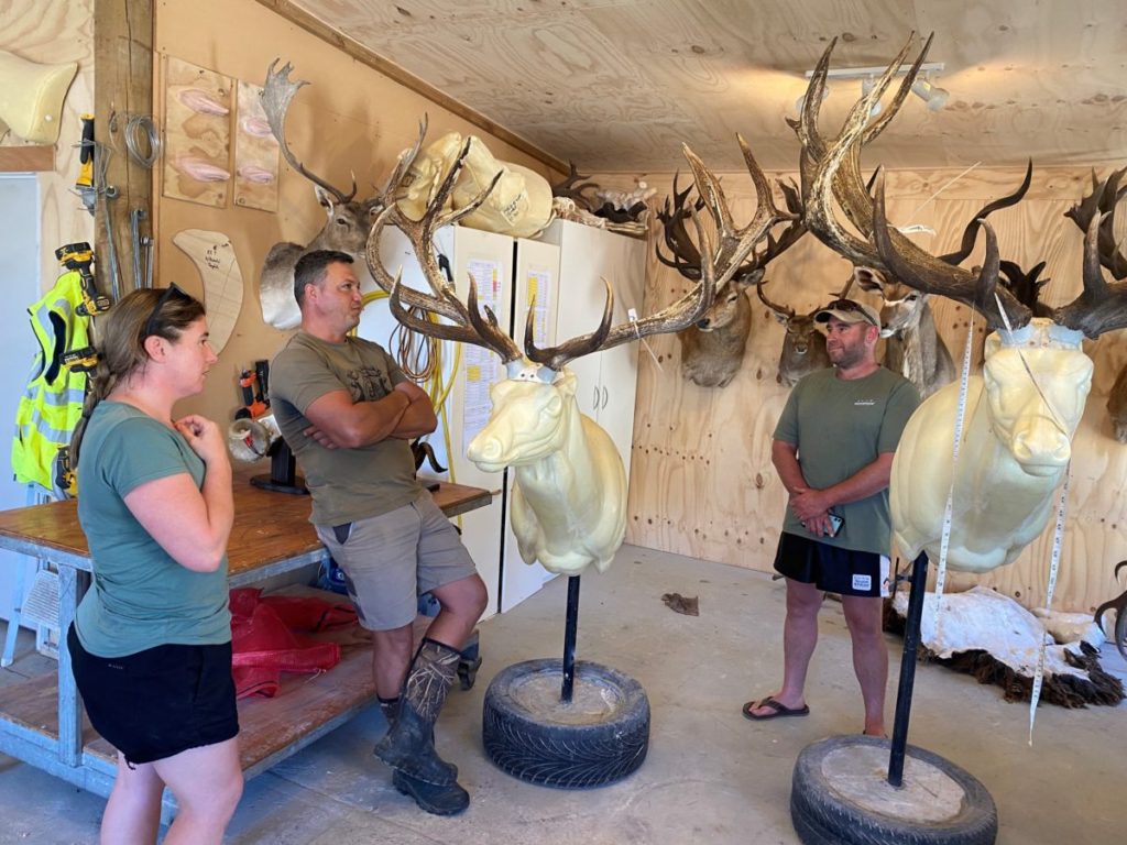 New Zealand Taxidermist Introducing Raynardt and Glen Dene Taxidermy Wanaka, Otago