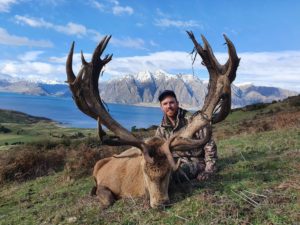Red Stag Hunt Glen Dene Hunting & Fishing