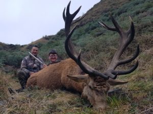 Red Stag Hunting at Glen Dene Hunting & Fishing