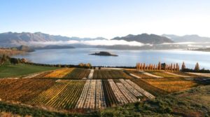 Rippon Wines Wanaka