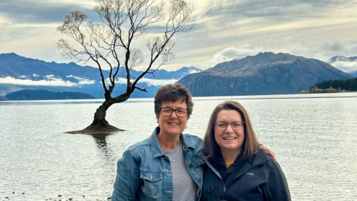 The Wanaka Tree 