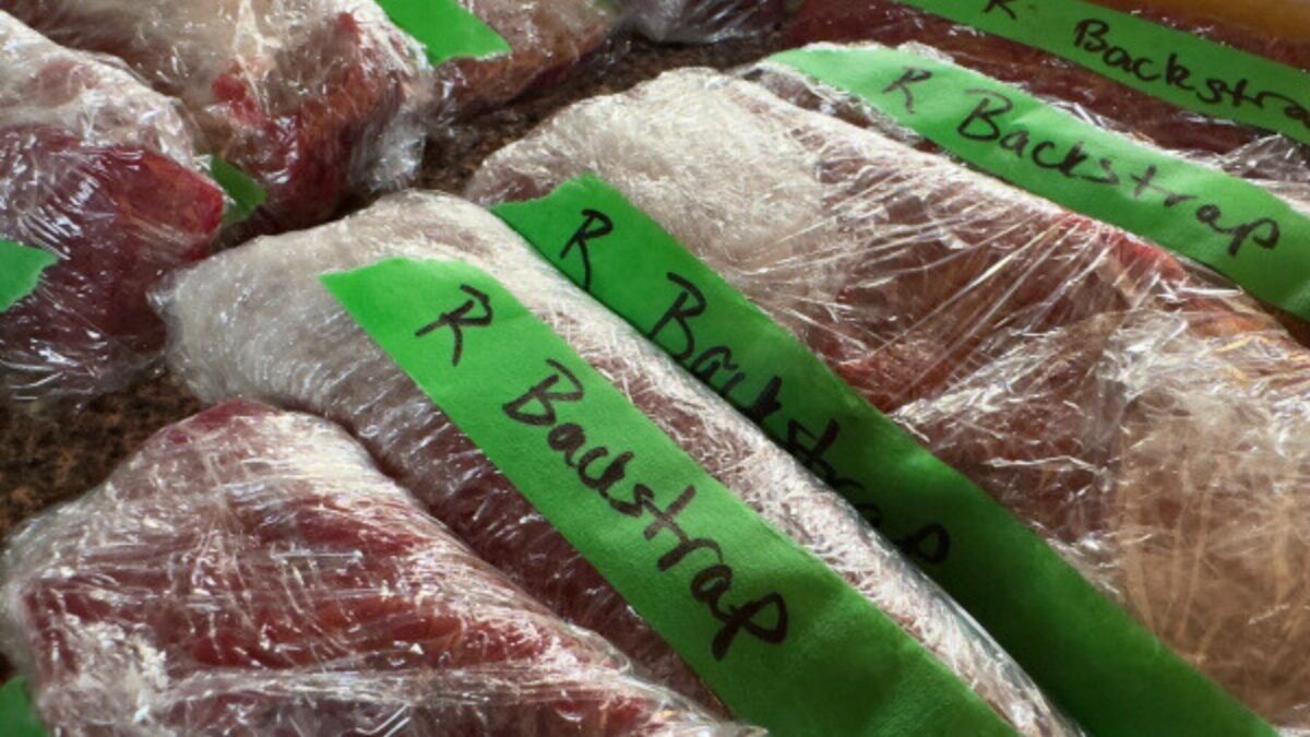 Venison meat packaged after hunting at Glen Dene, Lake Hāwea NZ